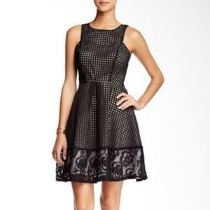 Everleigh Chiffon Lace Border Dress